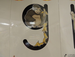 Gordo Gorilla's Banana Party - Zoo-phonics